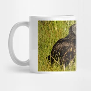 121416 buzzard Mug